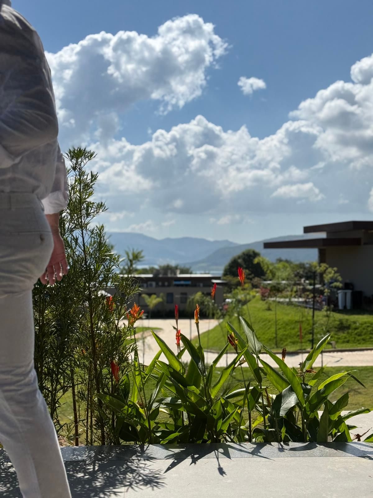 Pessoa de roupa de linho branco caminha com a garrafa de Marchicello na mão, sob um céu de nuvens, com casas e jardim ao fundo.